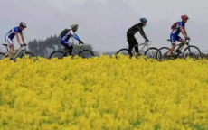 春天里的中国向新而行