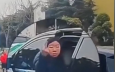女子违停竖中指挑衅，遭撞后引发社会热议