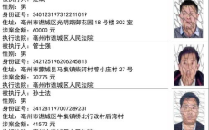 “郑丽文大陆之行随行人员名单揭晓，揭秘幕后团队阵容”