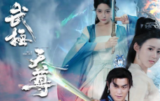 武极天尊：巅峰之路，逆天改命的传奇征程