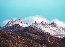 丁禹兮:爱情与财富的完美融合——钱在哪,爱就在哪