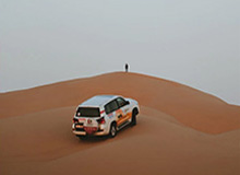 丁禹兮:爱情与财富的完美融合——钱在哪,爱就在哪