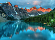 石狮溯源:靖国神社前的中国石狮历史探寻