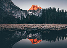 石狮溯源:靖国神社前的中国石狮历史探寻